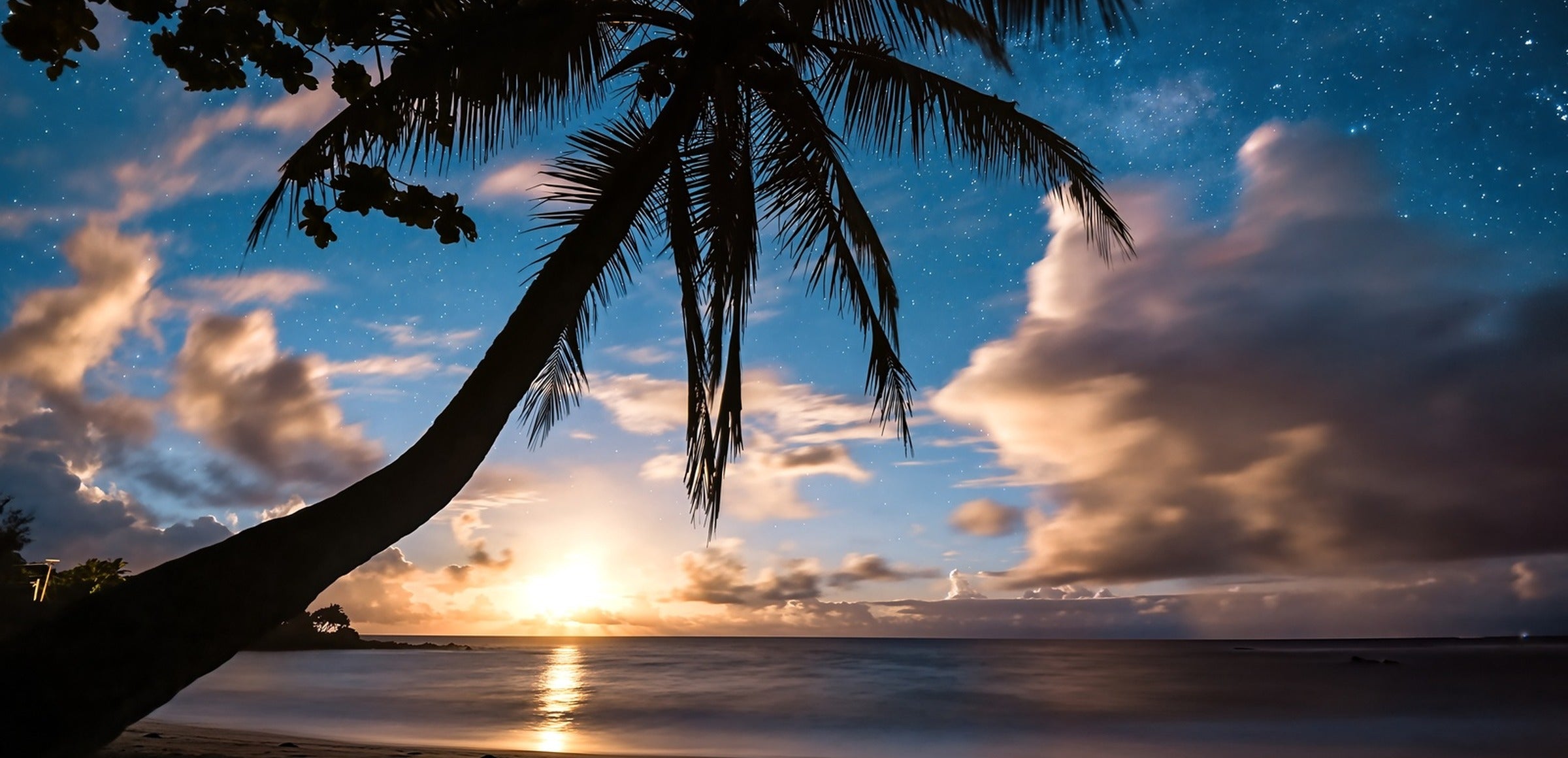 Hawaii collection hero - Paradise at Night