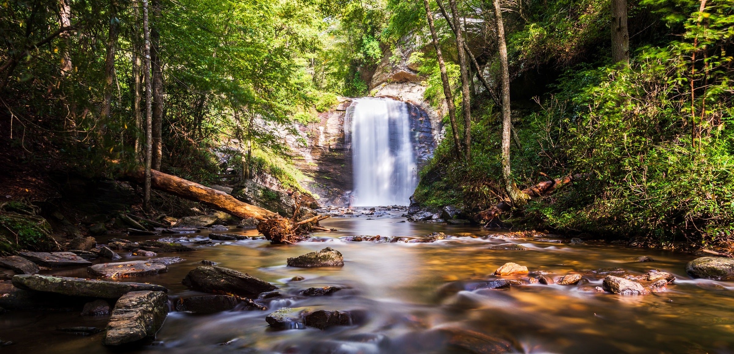 Barry Pack collection hero - Looking Glass Falls NC