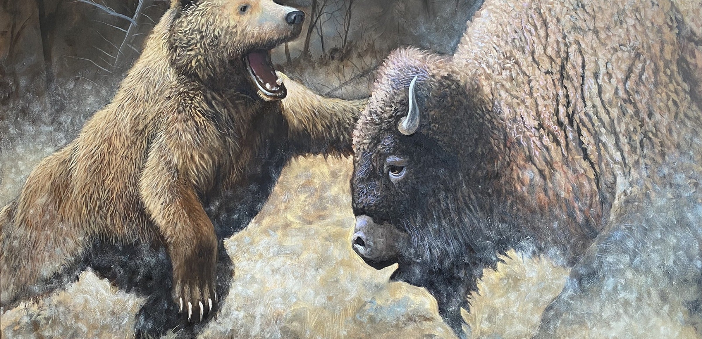 Bear Wall Art collection hero - Bear and Buffalo