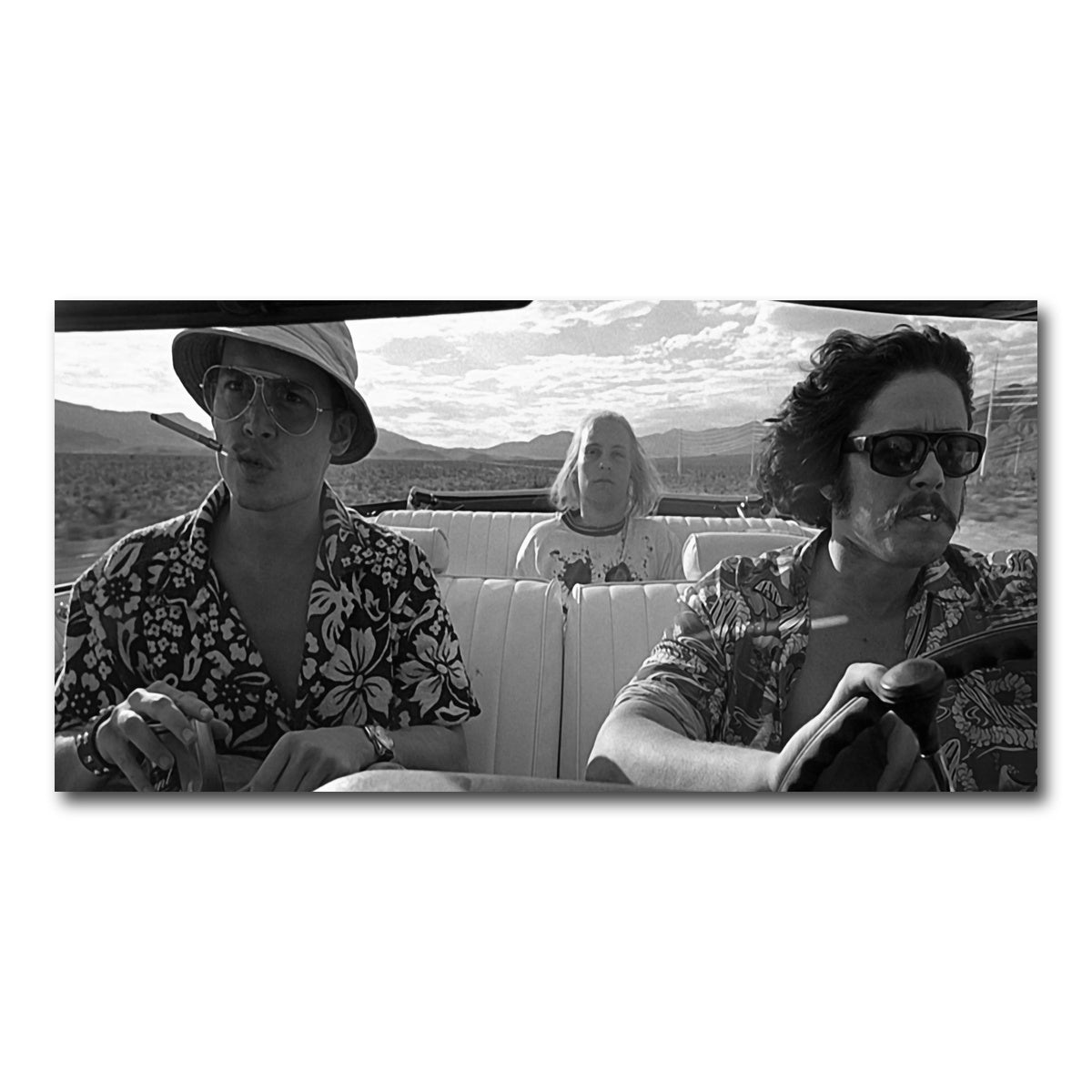 AUTO-MOCKUP WHITE | Bat Country | 1 Piece | Gallery Wrap Canvas | group=2x1