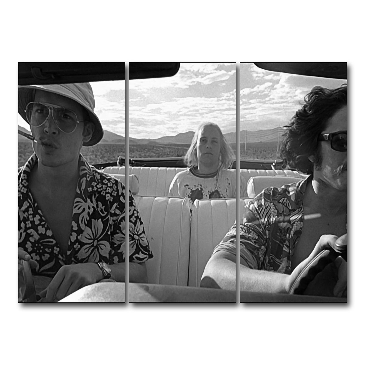 AUTO-MOCKUP WHITE | Bat Country | 3 Piece | Gallery Wrap Canvas | group=8x18