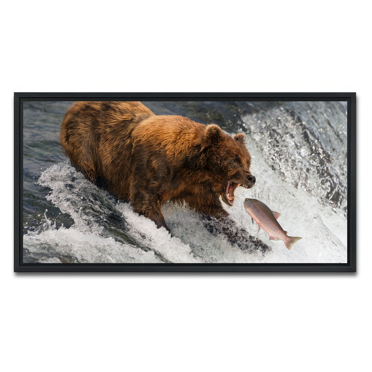 AUTO-MOCKUP WHITE | Bear catching Salmon | 1 Piece | Black Framed Canvas | group=2x1
