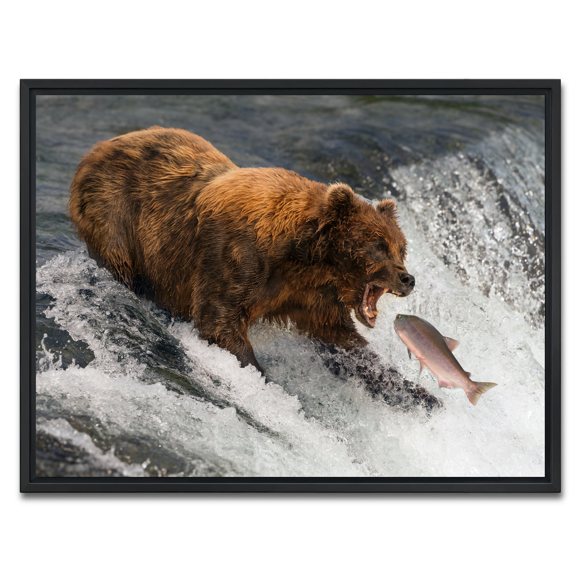 AUTO-MOCKUP WHITE | Bear catching Salmon | 1 Piece | Black Framed Canvas | group=4x3