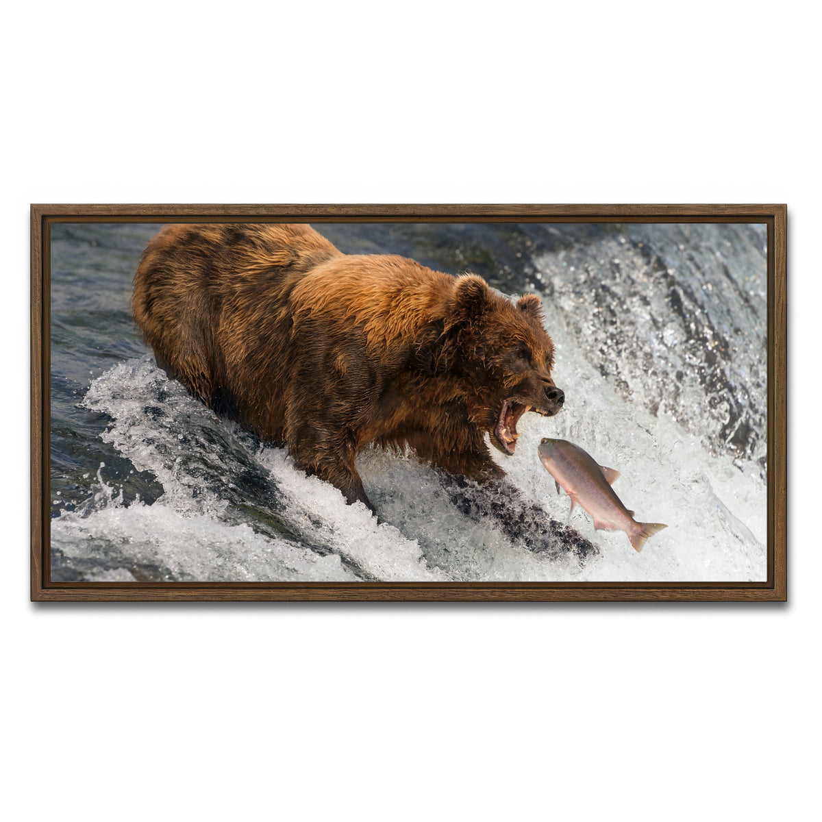 AUTO-MOCKUP WHITE | Bear catching Salmon | 1 Piece | Walnut Framed Canvas | group=2x1