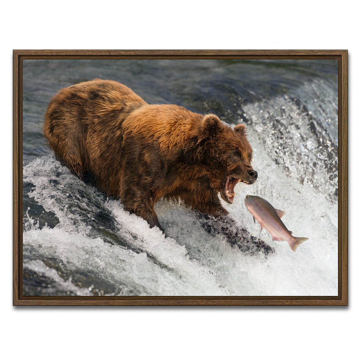 AUTO-MOCKUP WHITE | Bear catching Salmon | 1 Piece | Walnut Framed Canvas | group=4x3