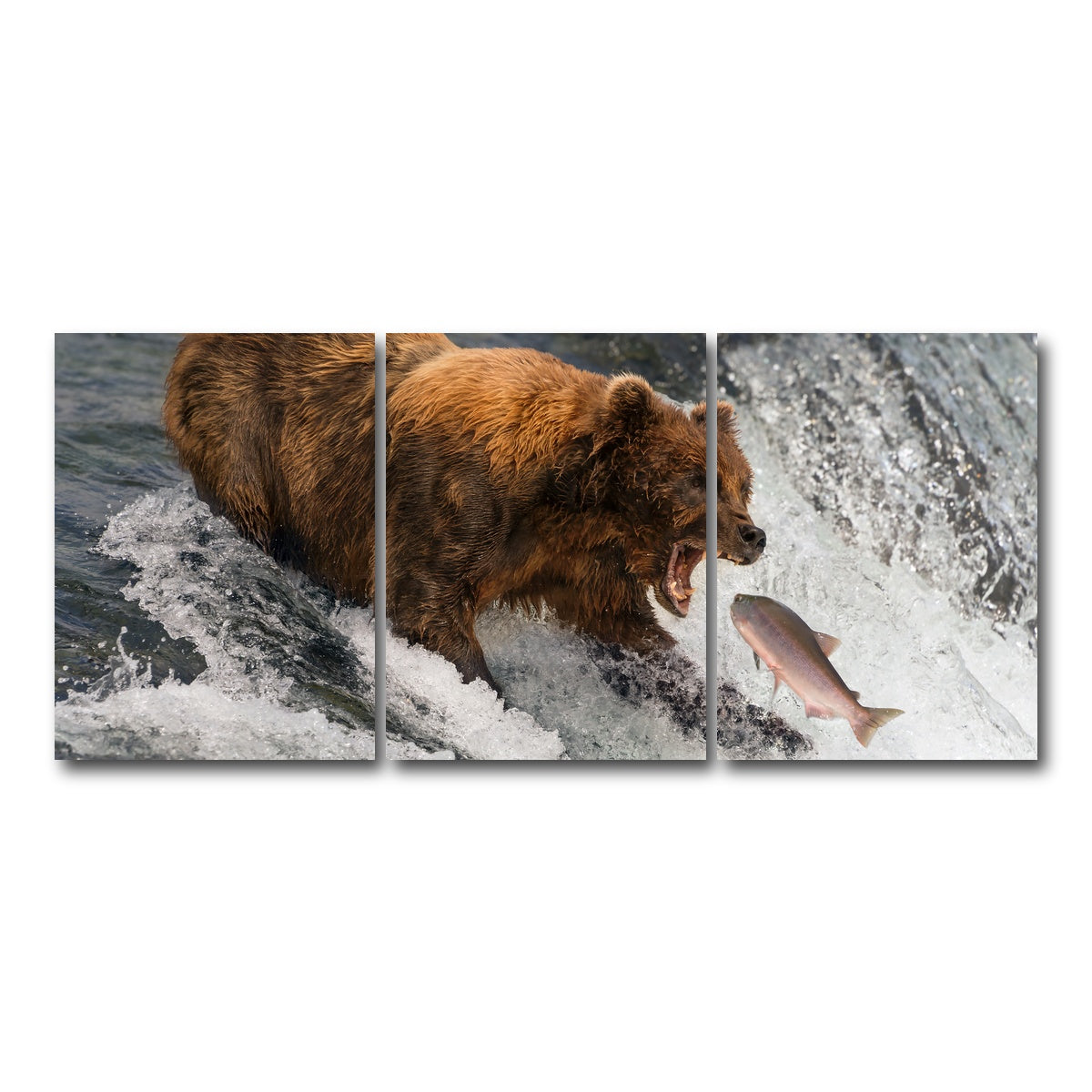 AUTO-MOCKUP WHITE | Bear catching Salmon | 3 Piece | Gallery Wrap Canvas | group=18x24