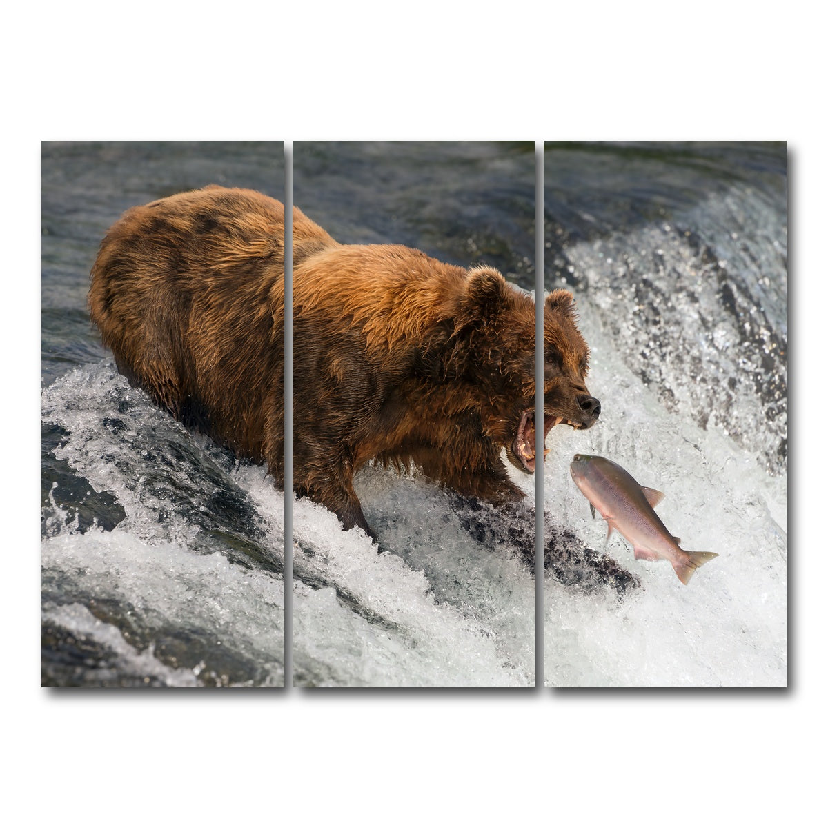 AUTO-MOCKUP WHITE | Bear catching Salmon | 3 Piece | Gallery Wrap Canvas | group=8x18