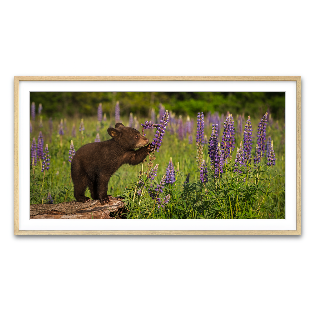Framed Print 2x1 Natural