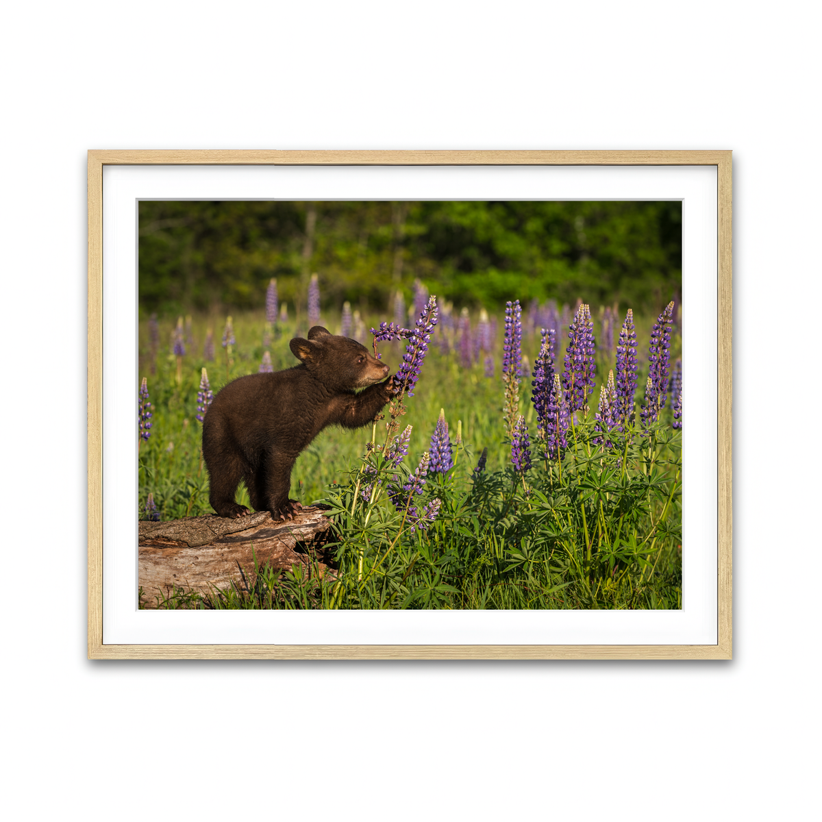 Framed Print 4x3 Natural