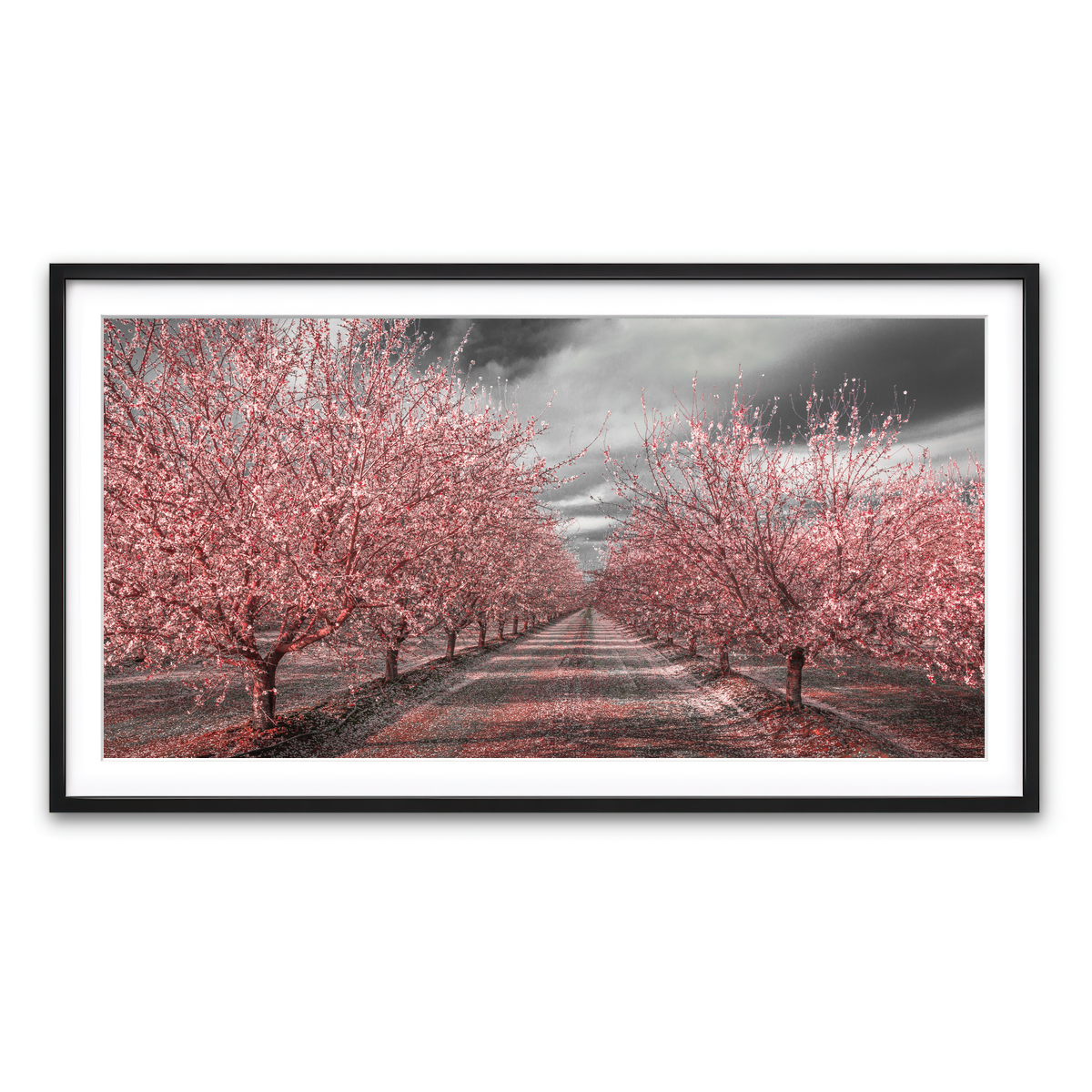 Framed Print 2x1 Black