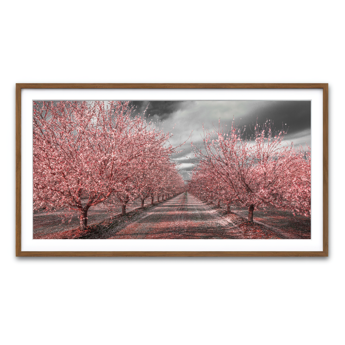 Framed Print 2x1 Walnut