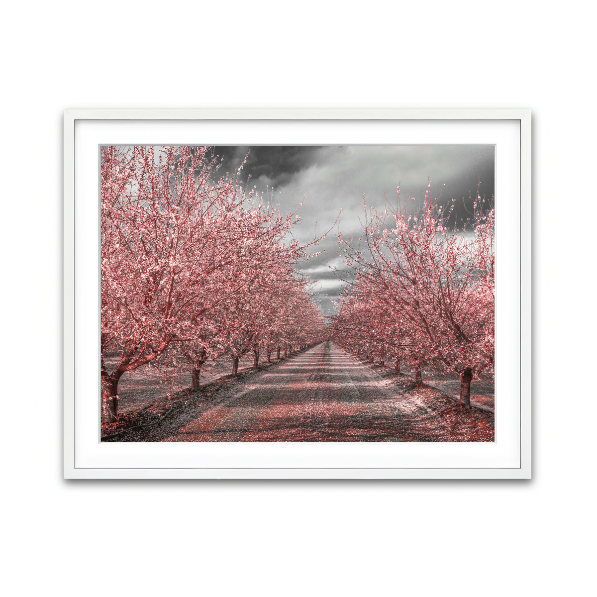 Framed Print 4x3 White