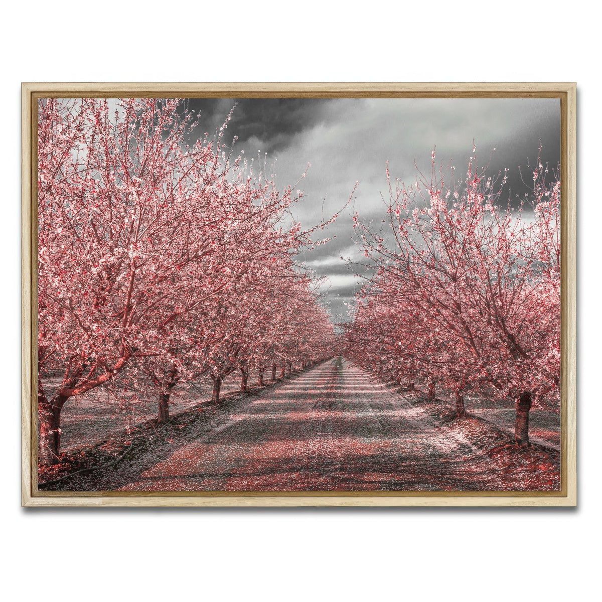 AUTO-MOCKUP WHITE | California Pink Blossoms | 1 Piece | Natural Framed Canvas | group=4x3