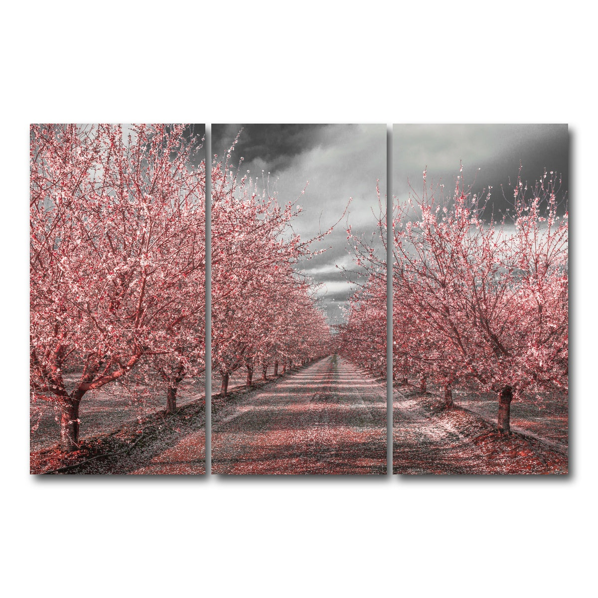 AUTO-MOCKUP WHITE | California Pink Blossoms | 3 Piece | Gallery Wrap Canvas | group=12x24