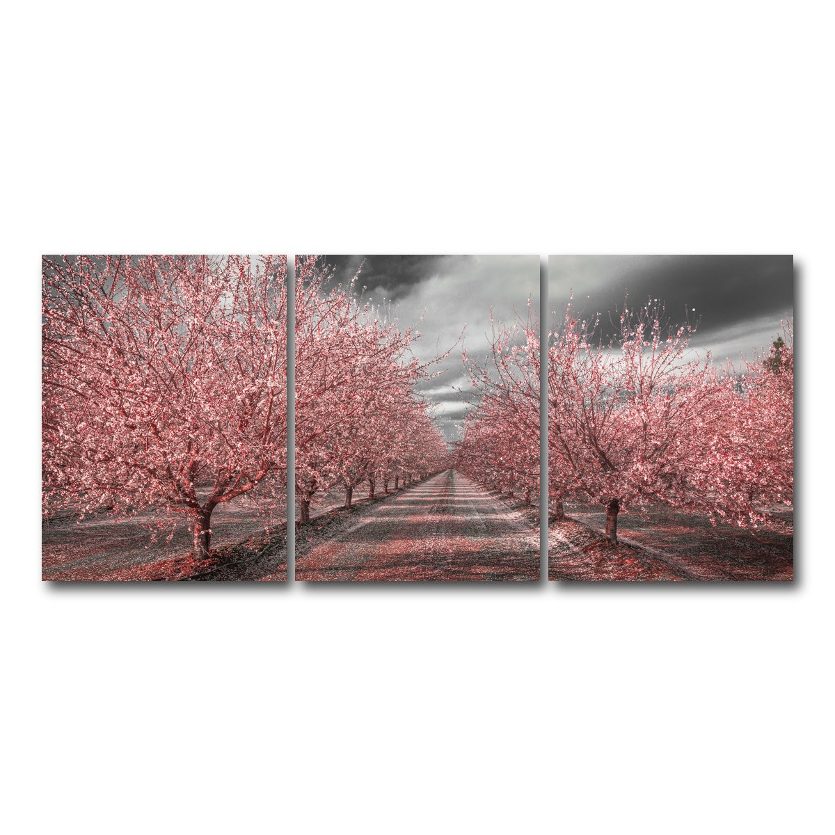 AUTO-MOCKUP WHITE | California Pink Blossoms | 3 Piece | Gallery Wrap Canvas | group=18x24