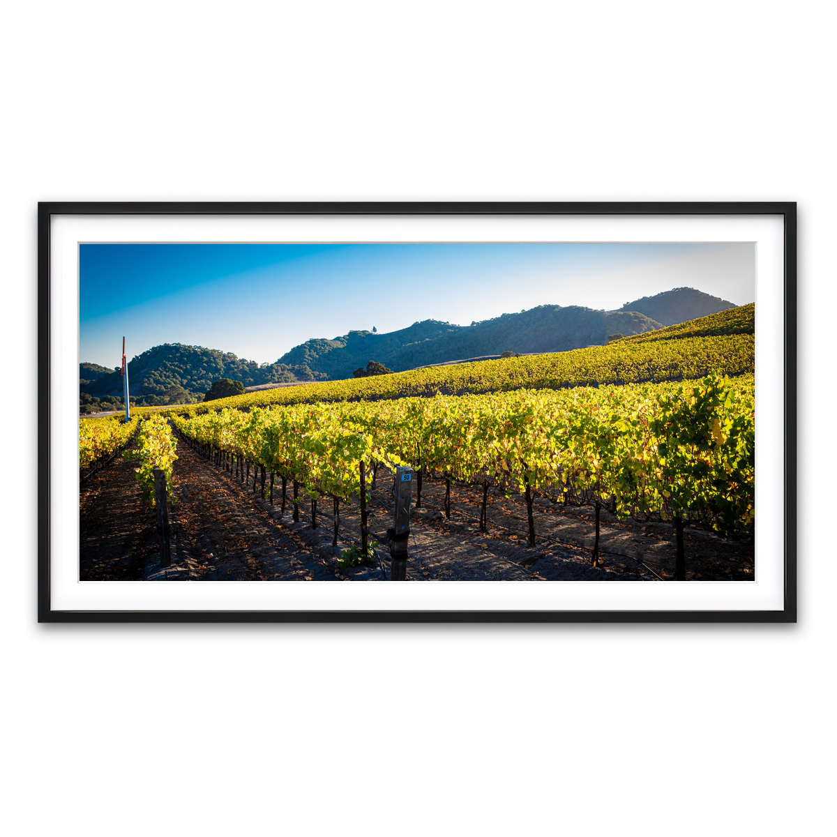 Framed Print 2x1 Black