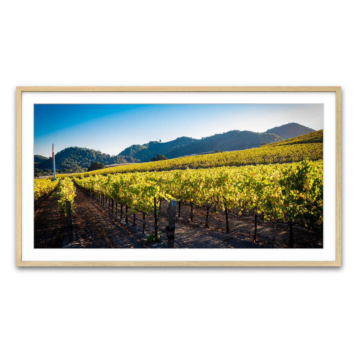Framed Print 2x1 Natural