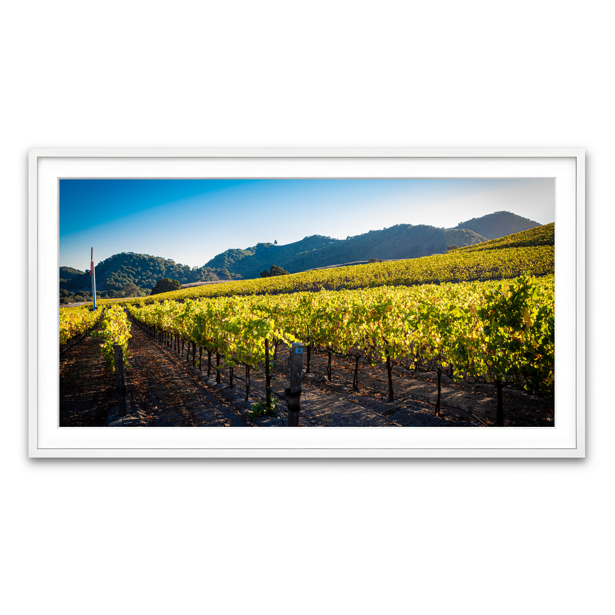 Framed Print 2x1 White