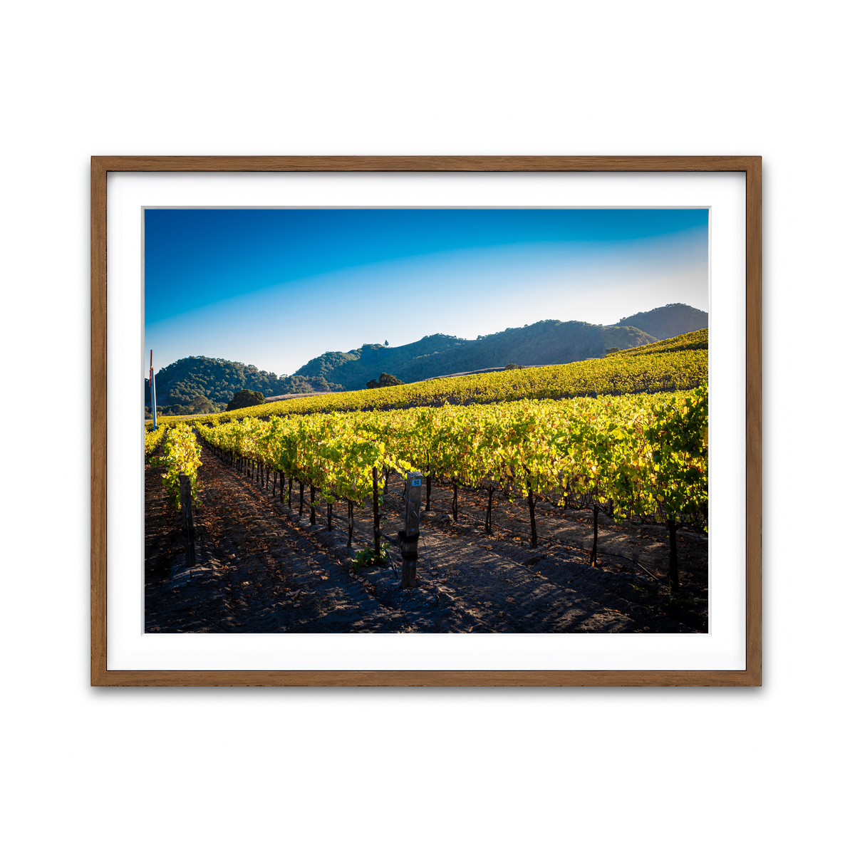 Framed Print 4x3 Walnut