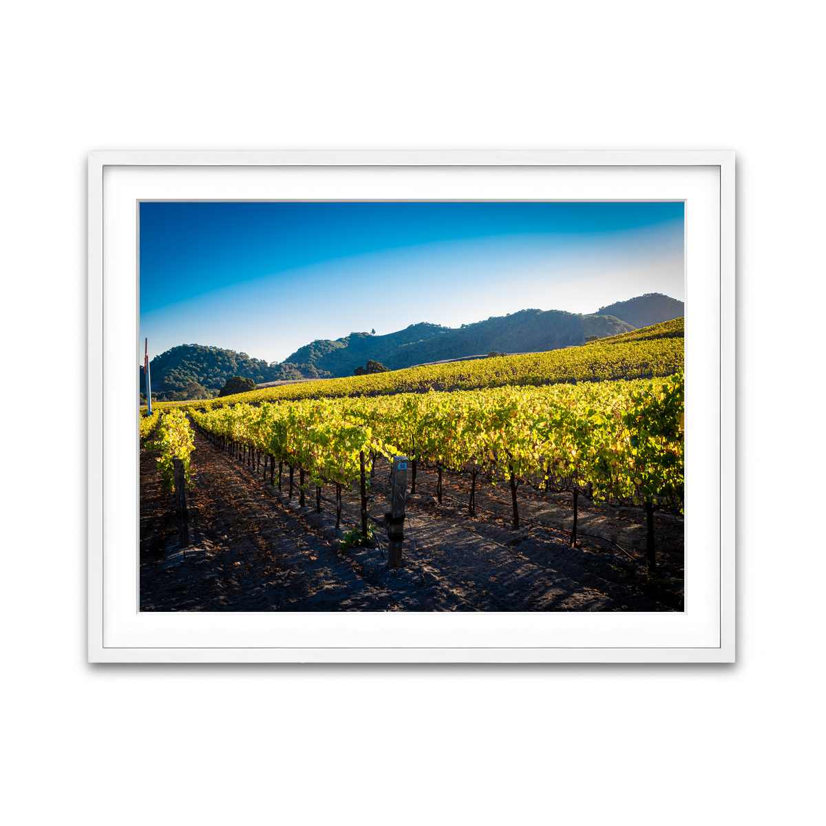 Framed Print 4x3 White