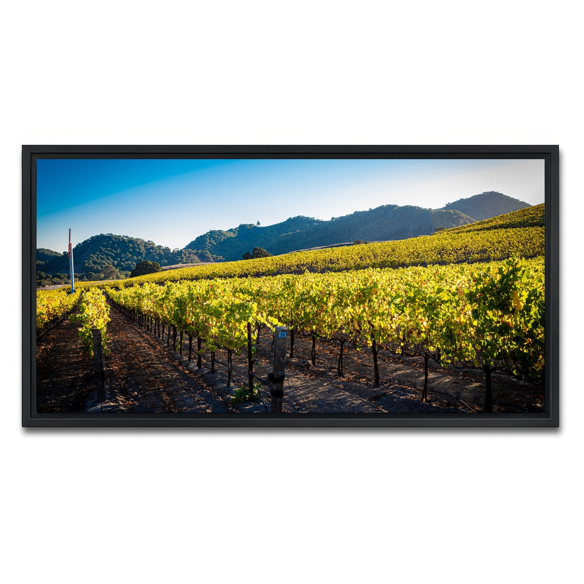 AUTO-MOCKUP WHITE | Central California Vineyard | 1 Piece | Black Framed Canvas | group=2x1