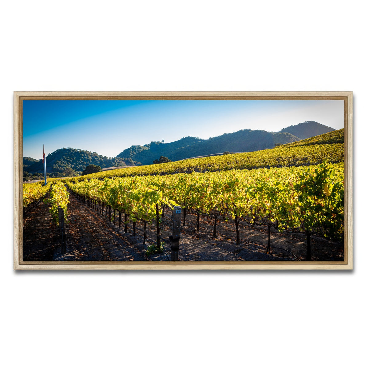 AUTO-MOCKUP WHITE | Central California Vineyard | 1 Piece | Natural Framed Canvas | group=2x1