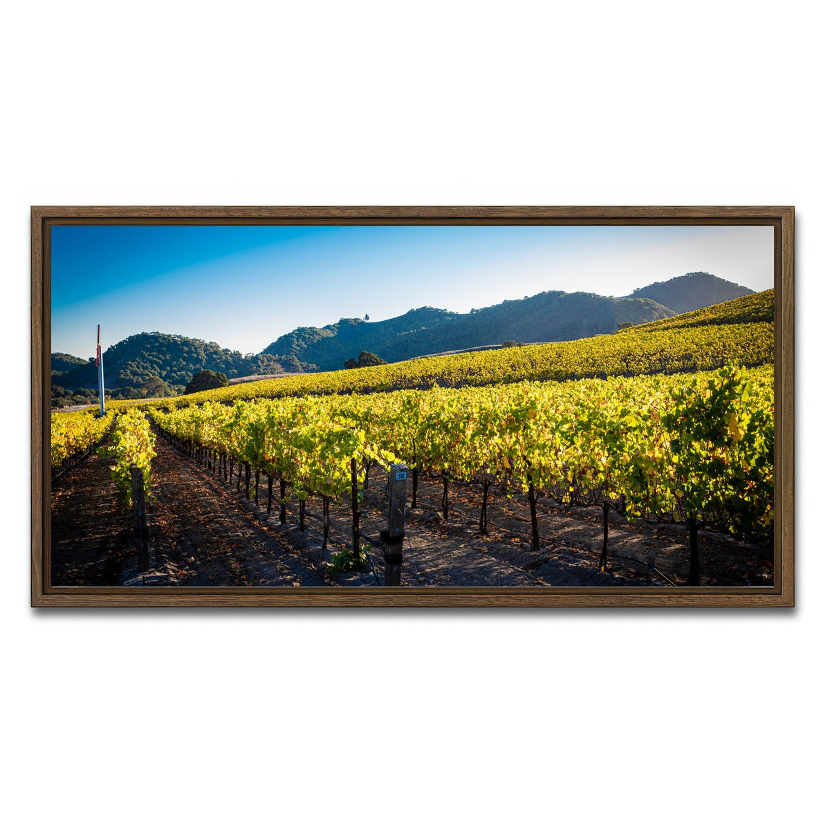 AUTO-MOCKUP WHITE | Central California Vineyard | 1 Piece | Walnut Framed Canvas | group=2x1