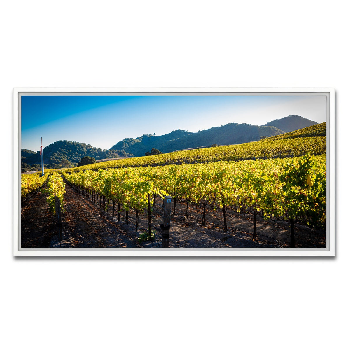 AUTO-MOCKUP WHITE | Central California Vineyard | 1 Piece | White Framed Canvas | group=2x1