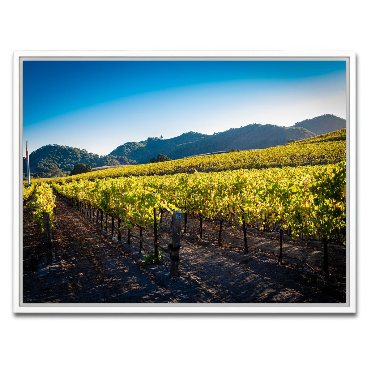 AUTO-MOCKUP WHITE | Central California Vineyard | 1 Piece | White Framed Canvas | group=4x3