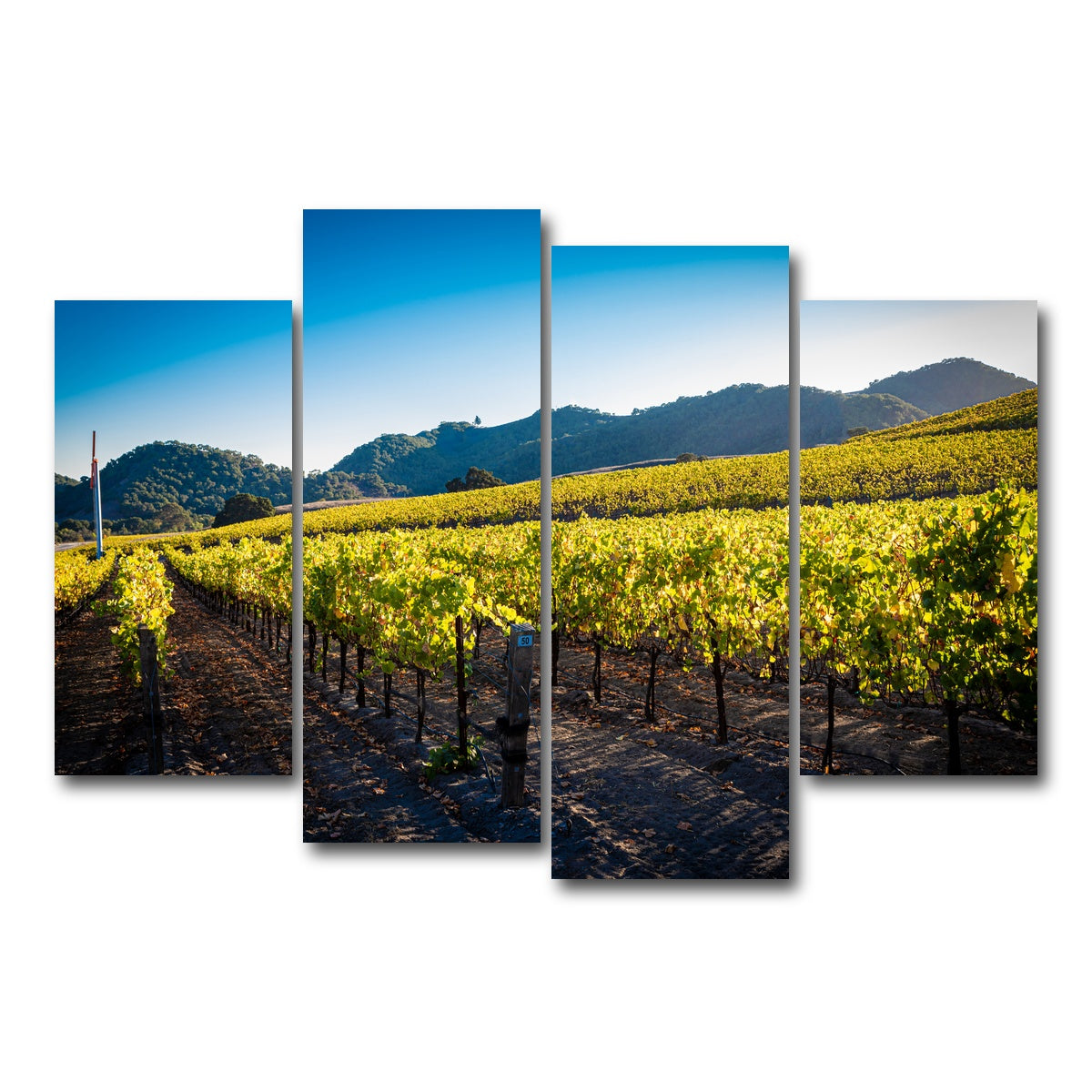 AUTO-MOCKUP WHITE | Central California Vineyard | 4 Piece | Gallery Wrap Canvas | group=4_short