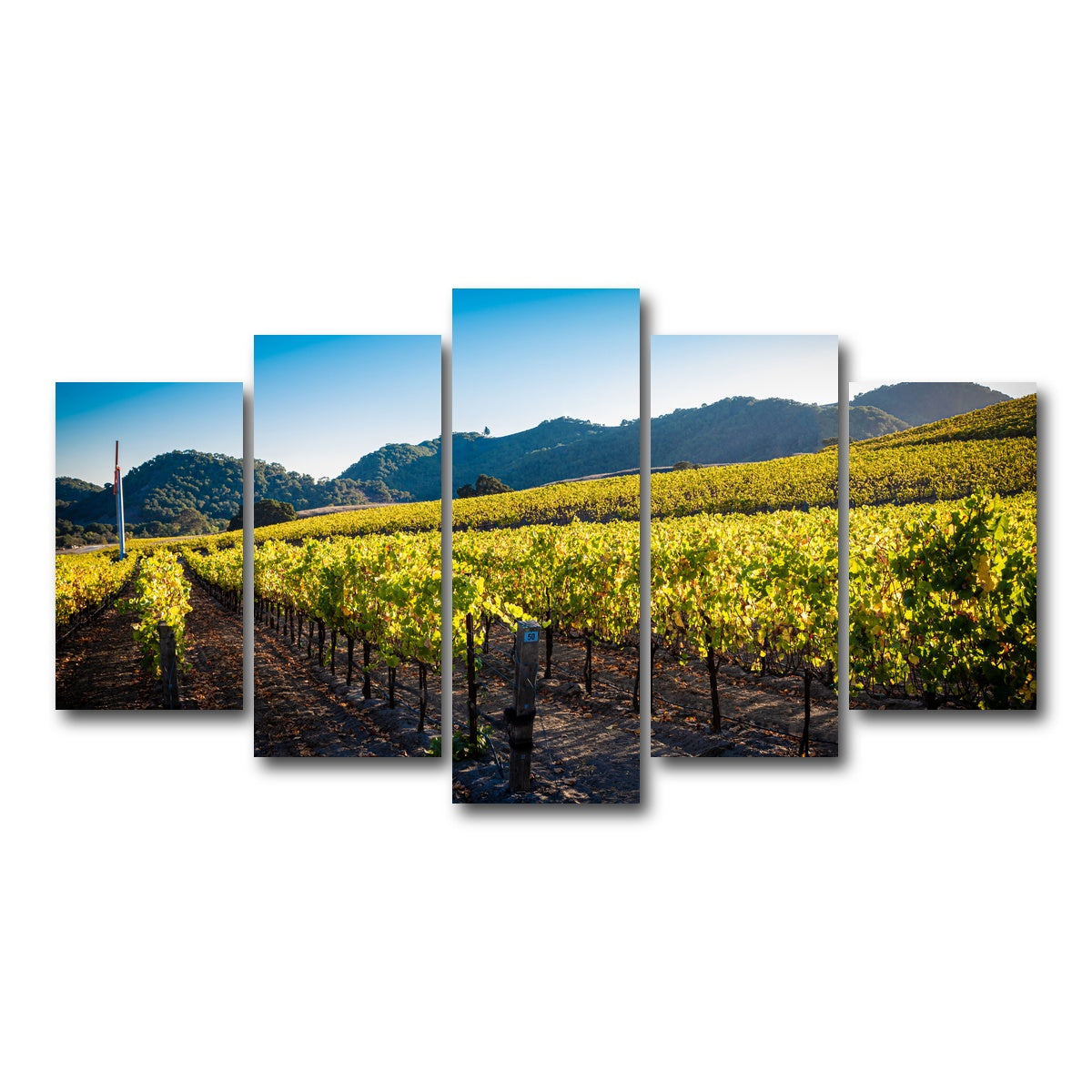 AUTO-MOCKUP WHITE | Central California Vineyard | 5 Piece | Gallery Wrap Canvas | group=5_normal