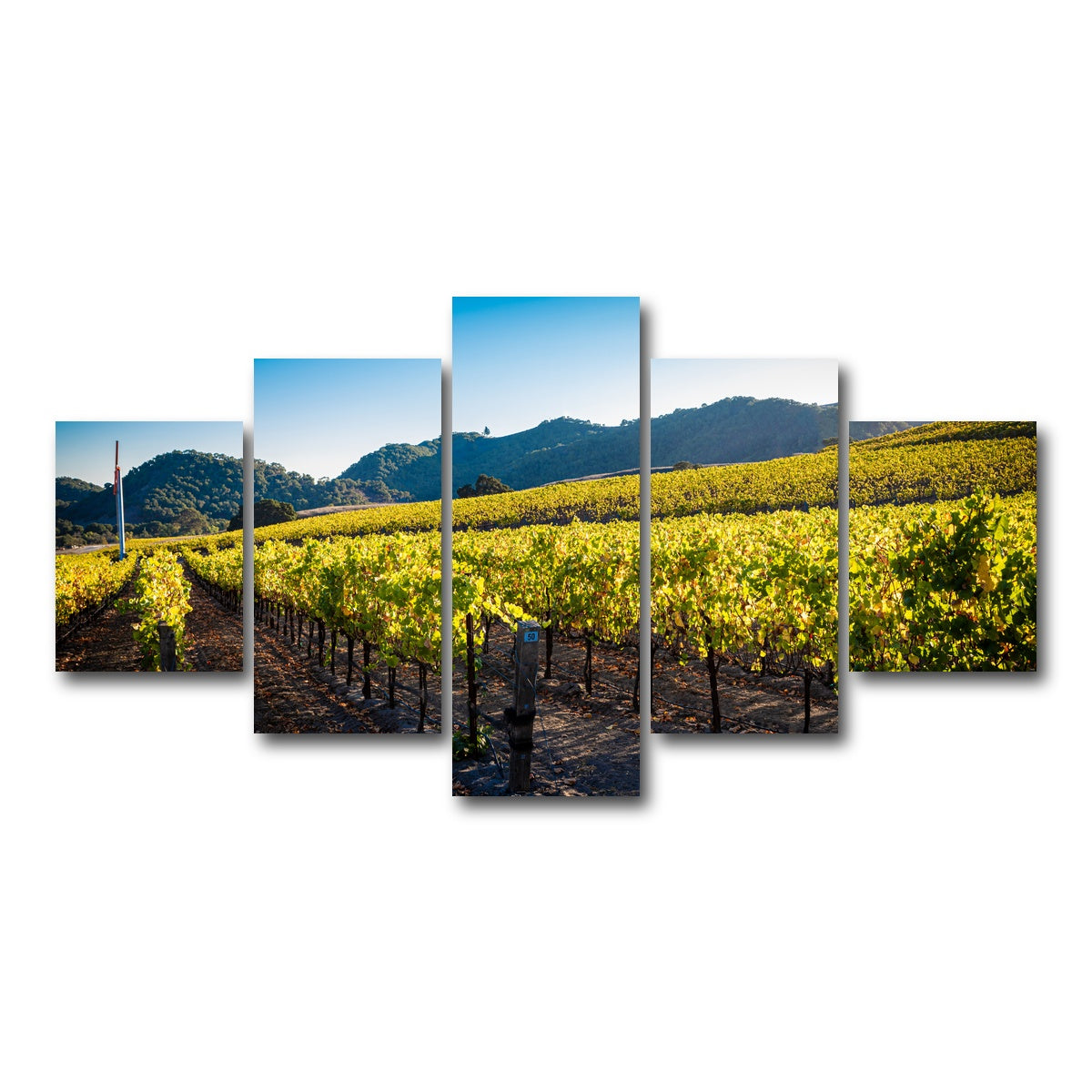 AUTO-MOCKUP WHITE | Central California Vineyard | 5 Piece | Gallery Wrap Canvas | group=5_short