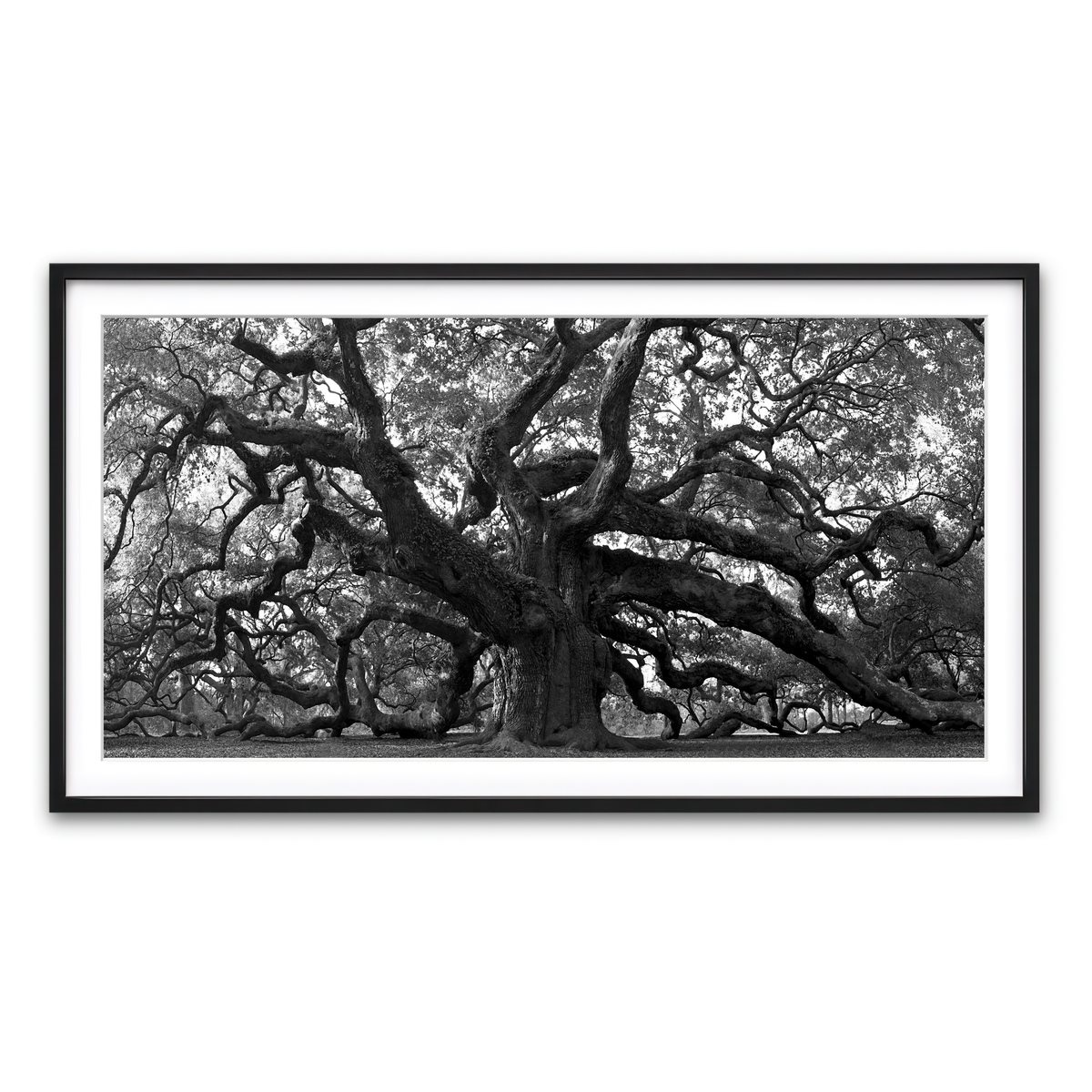 Framed Print 2x1 Black