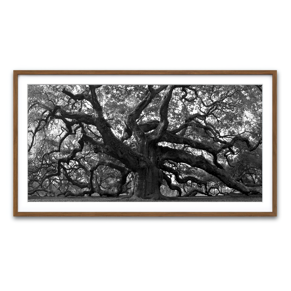 Framed Print 2x1 Walnut