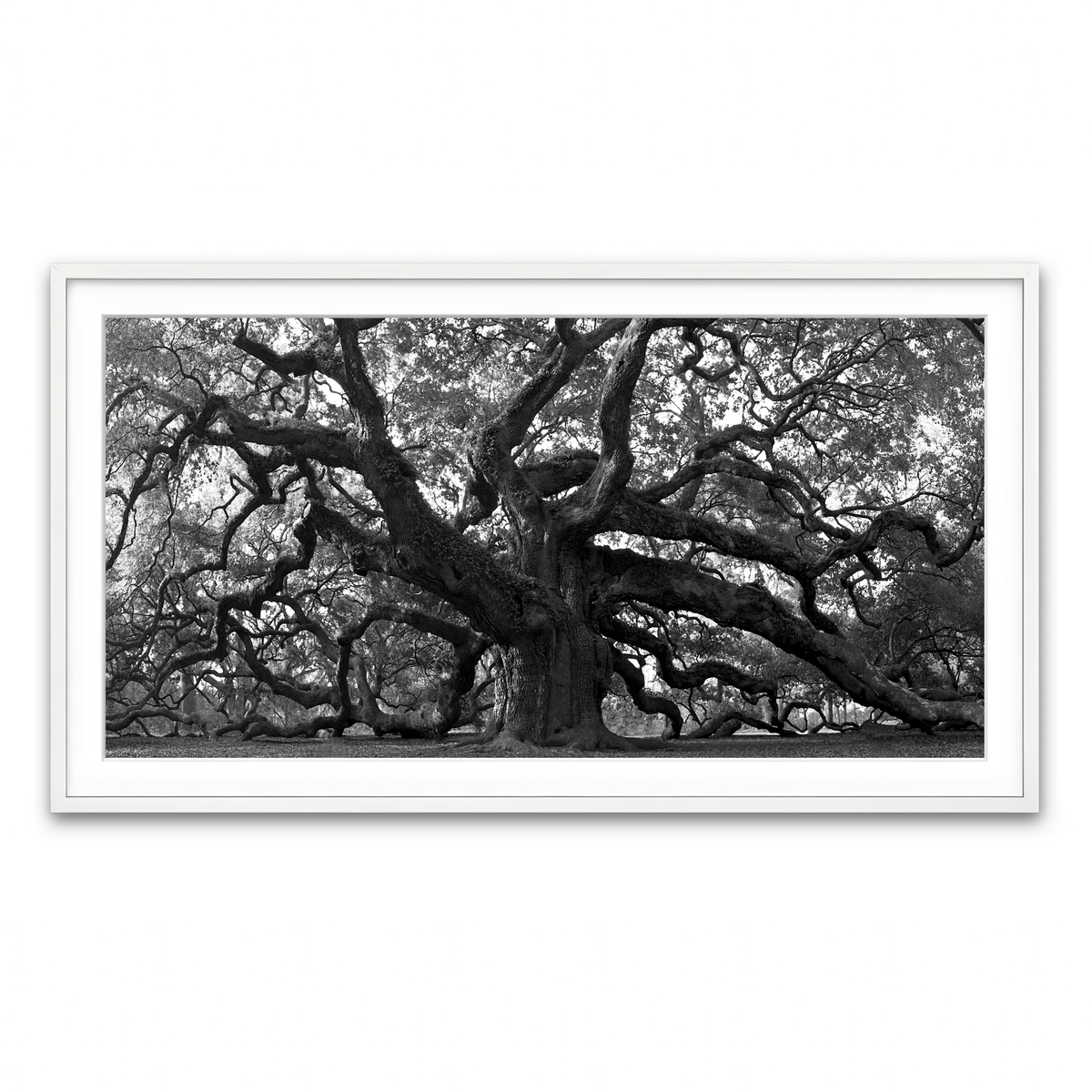 Framed Print 2x1 White