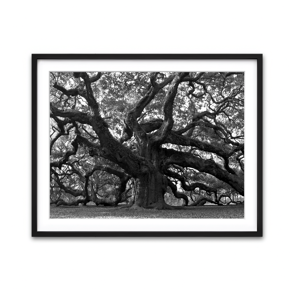 Framed Print 4x3 Black