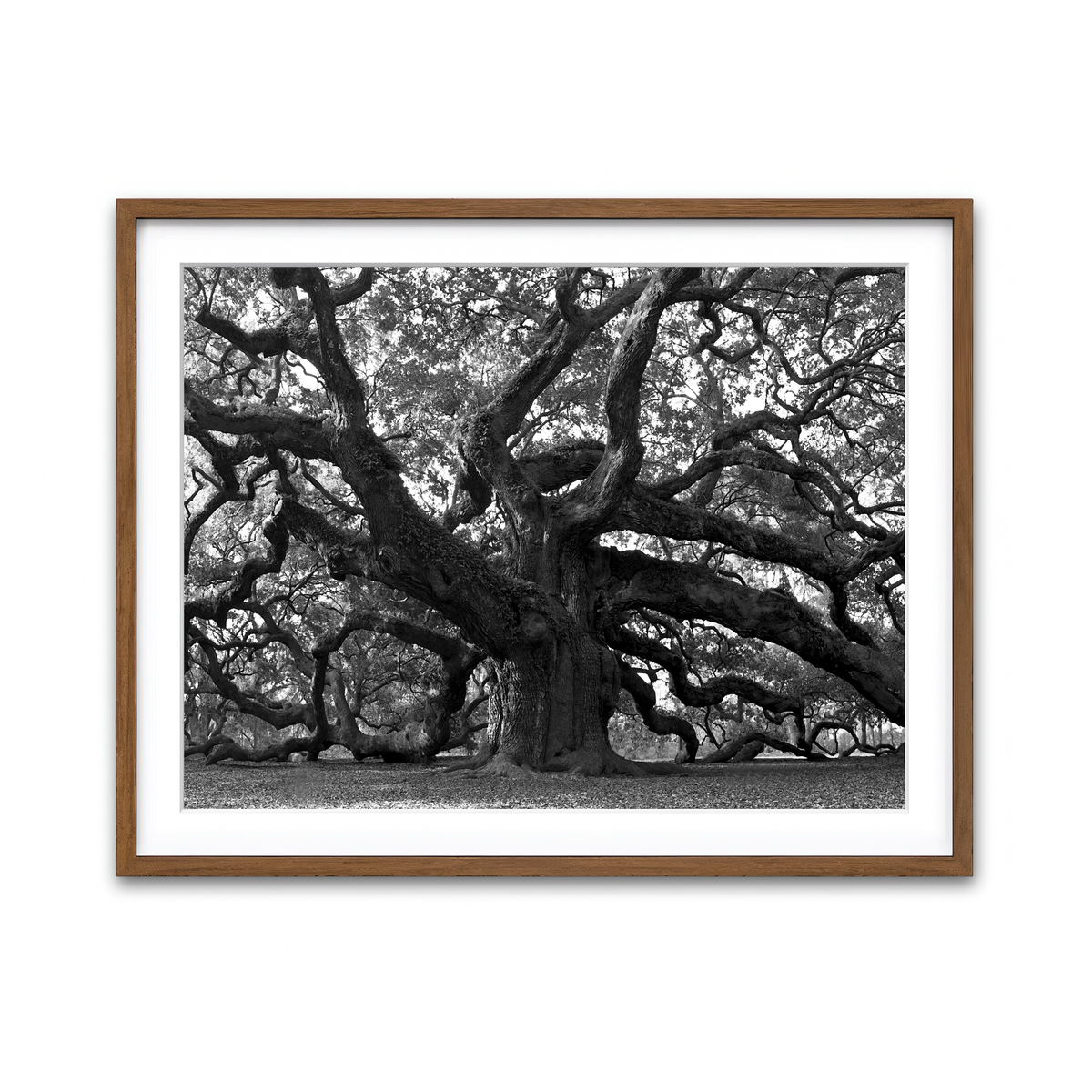 Framed Print 4x3 Walnut