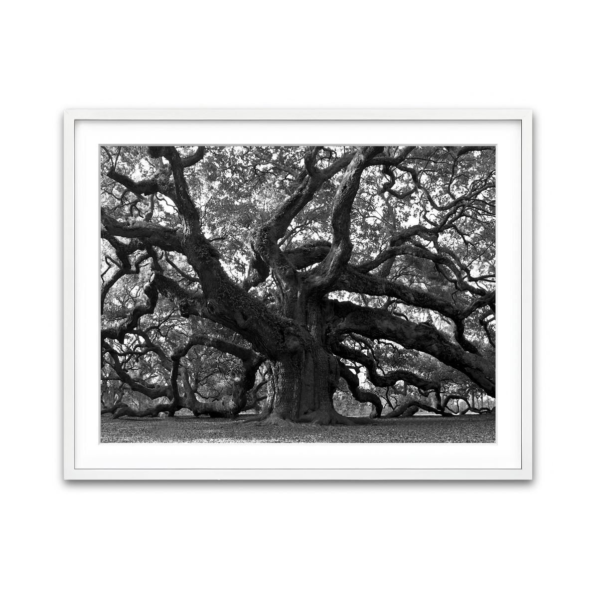 Framed Print 4x3 White