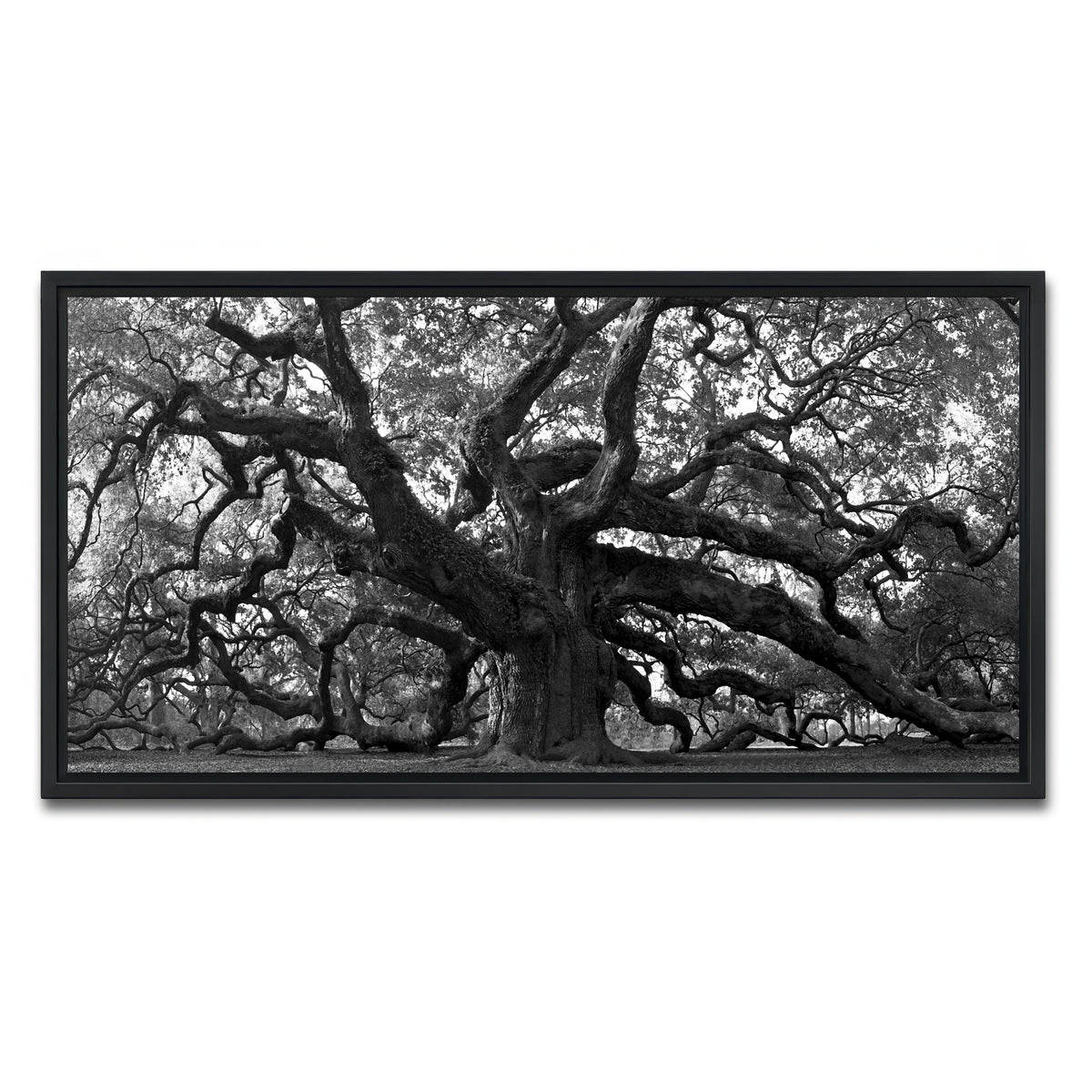 AUTO-MOCKUP WHITE | Charleston angel oak grayscale | 1 Piece | Black Frame | group=2x1