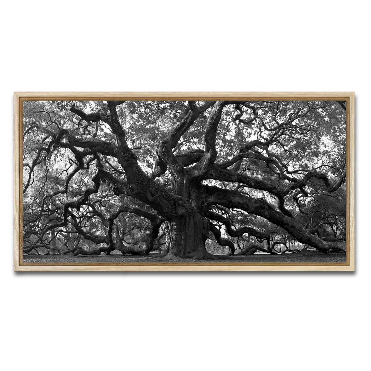 AUTO-MOCKUP WHITE | Charleston angel oak grayscale | 1 Piece | Natural Frame | group=2x1