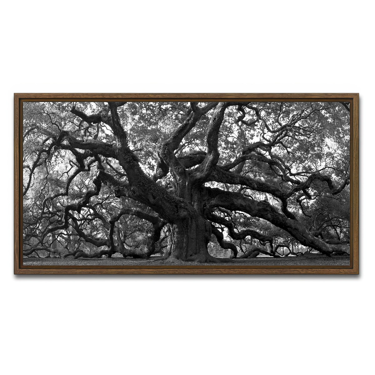 AUTO-MOCKUP WHITE | Charleston angel oak grayscale | 1 Piece | Walnut Frame | group=2x1