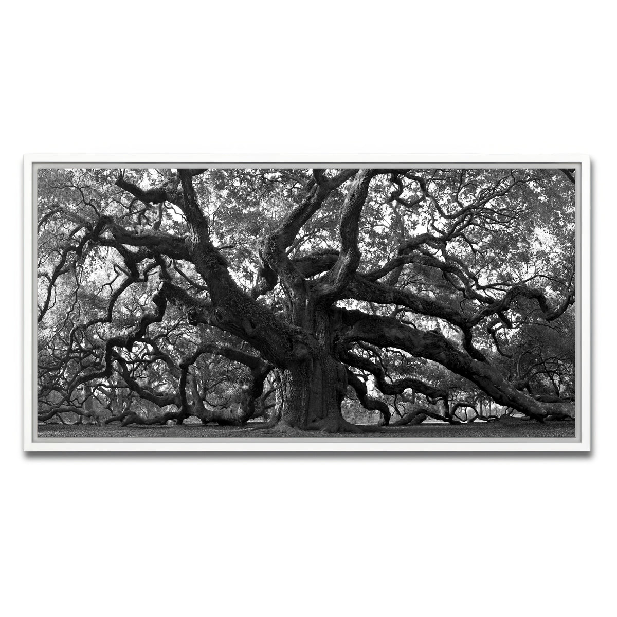 AUTO-MOCKUP WHITE | Charleston angel oak grayscale | 1 Piece | White Frame | group=2x1