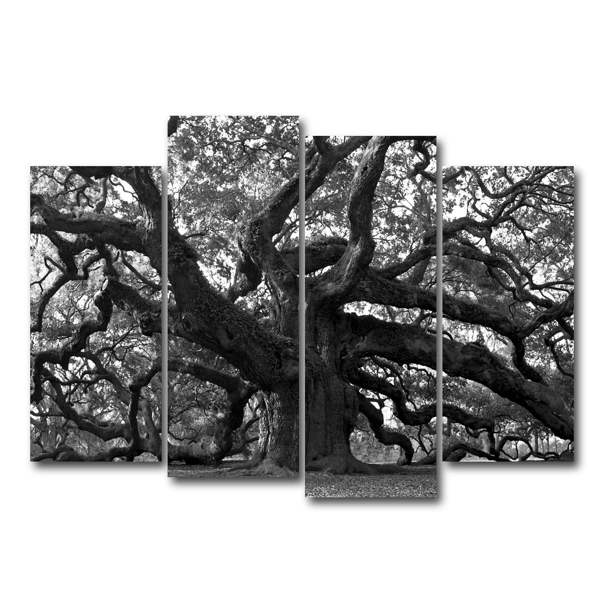 AUTO-MOCKUP WHITE | Charleston angel oak grayscale | 4 Piece | Gallery Wrapped | group=4_normal