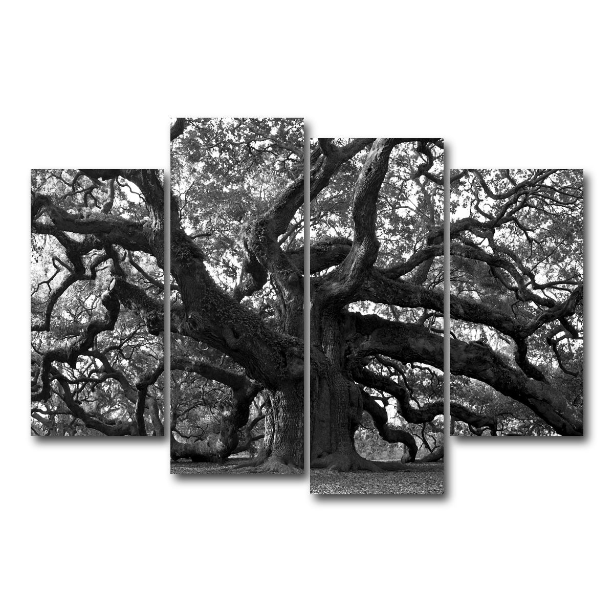 AUTO-MOCKUP WHITE | Charleston angel oak grayscale | 4 Piece | Gallery Wrapped | group=4_short