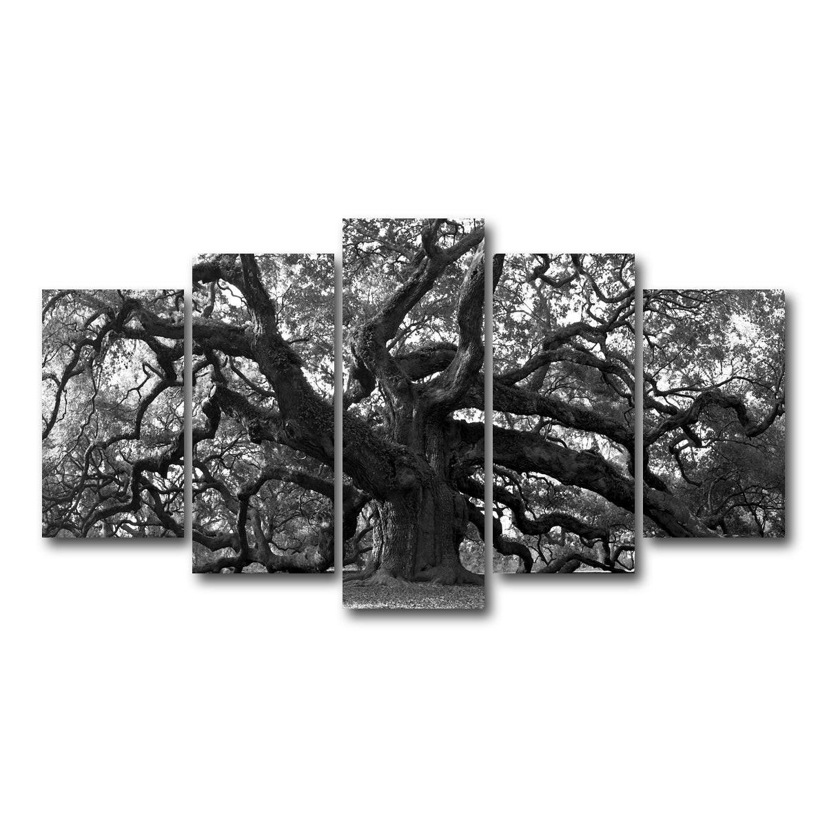 AUTO-MOCKUP WHITE | Charleston angel oak grayscale | 5 Piece | Gallery Wrapped | group=5_normal