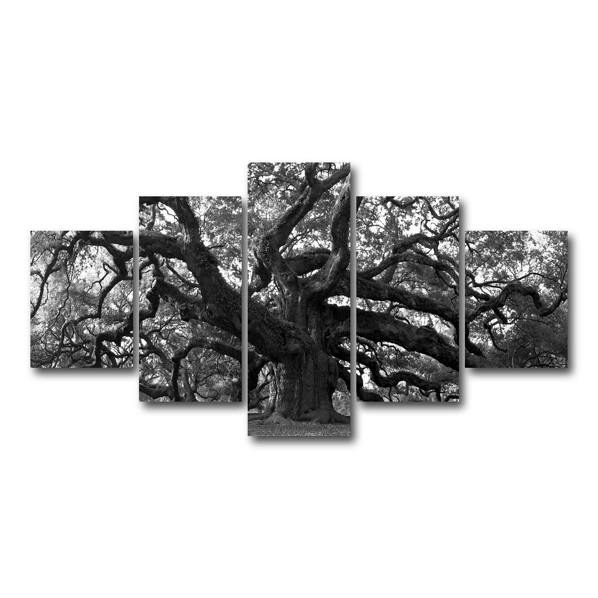 AUTO-MOCKUP WHITE | Charleston angel oak grayscale | 5 Piece | Gallery Wrapped | group=5_short