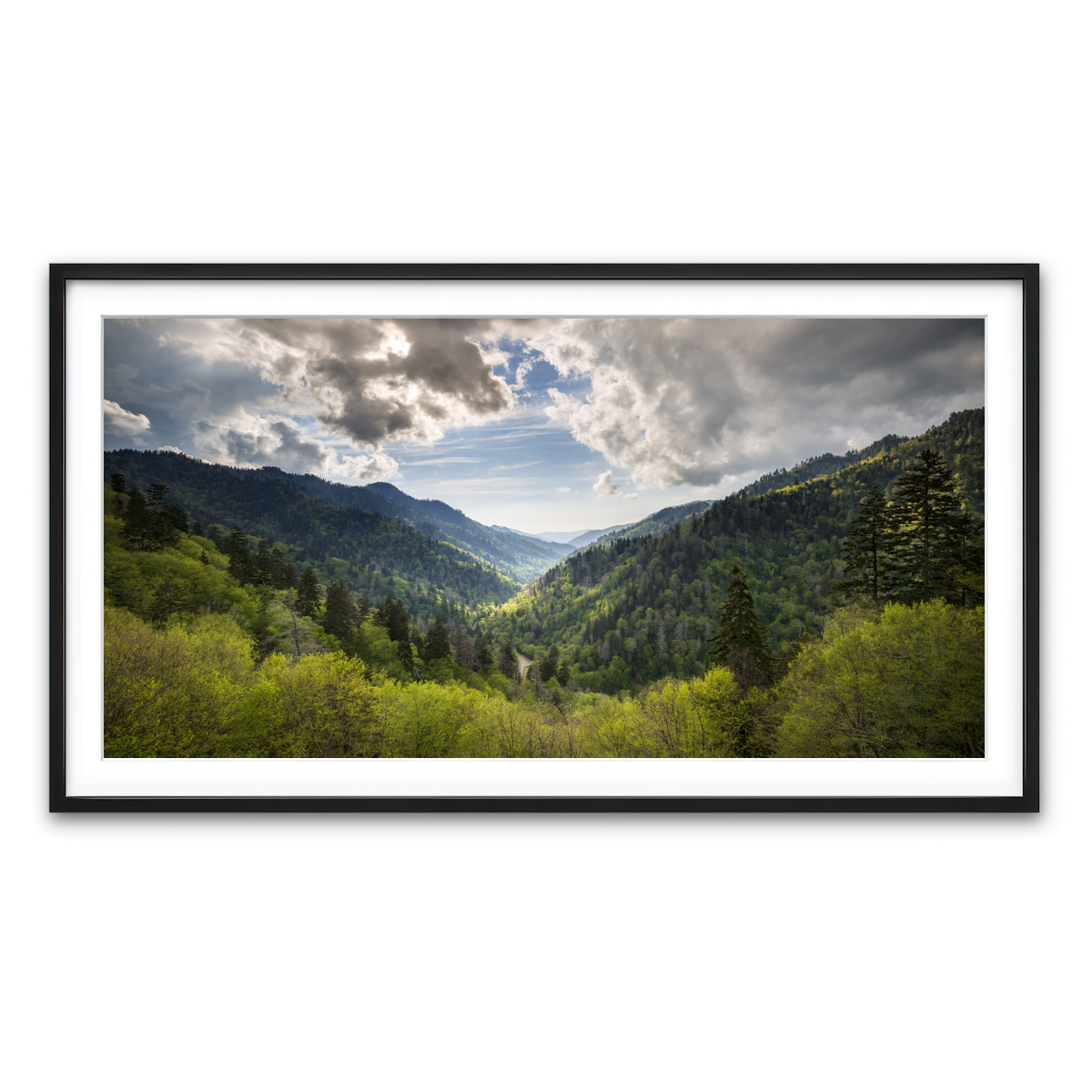 Framed Print 2x1 Black