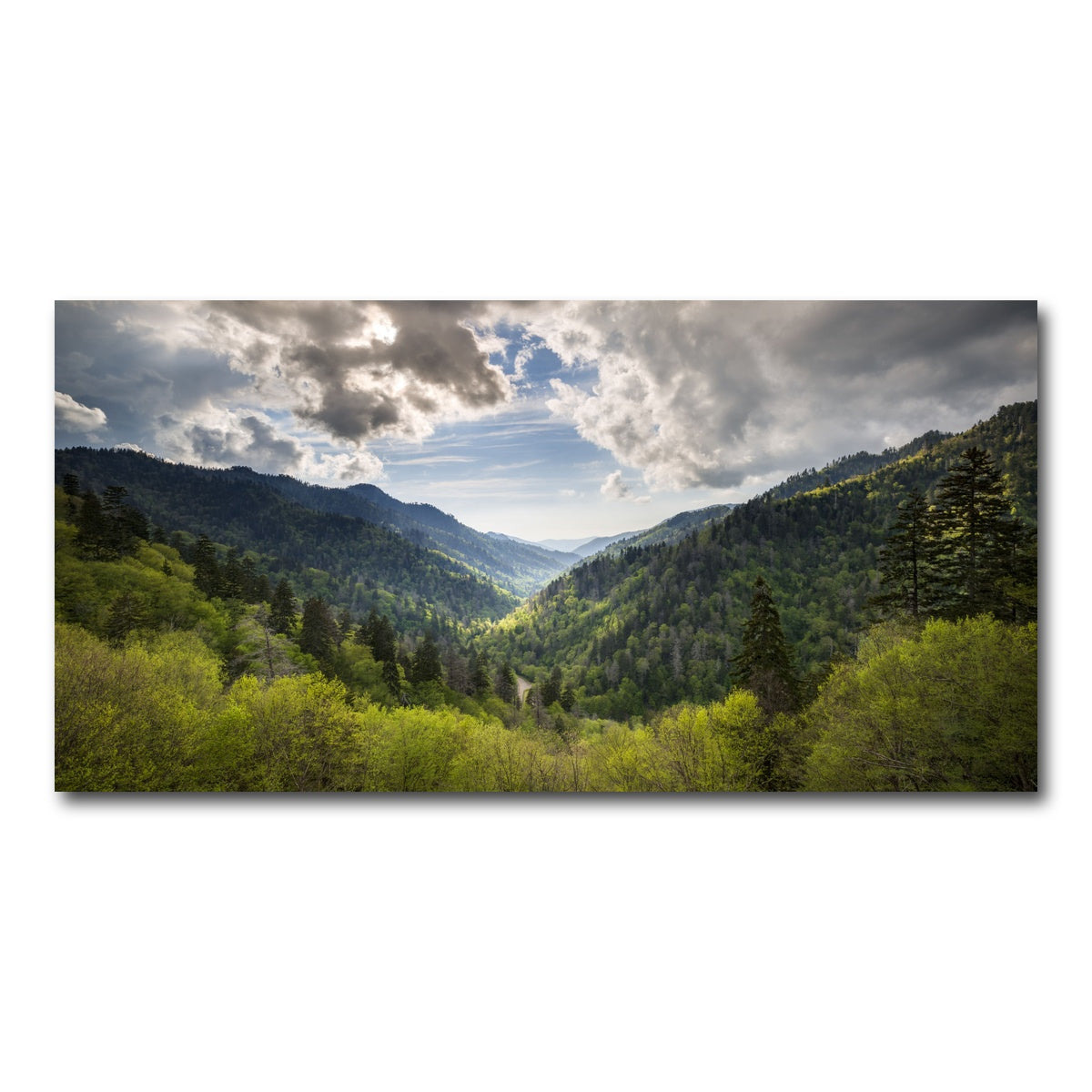 AUTO-MOCKUP WHITE | Great Smoky Mountains National Park | 1 Piece | Gallery Wrap Canvas | group=2x1