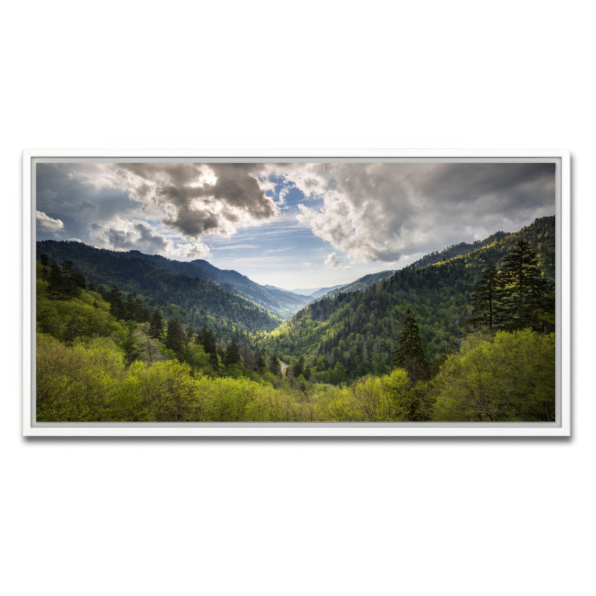 AUTO-MOCKUP WHITE | Great Smoky Mountains National Park | 1 Piece | White Framed Canvas | group=2x1