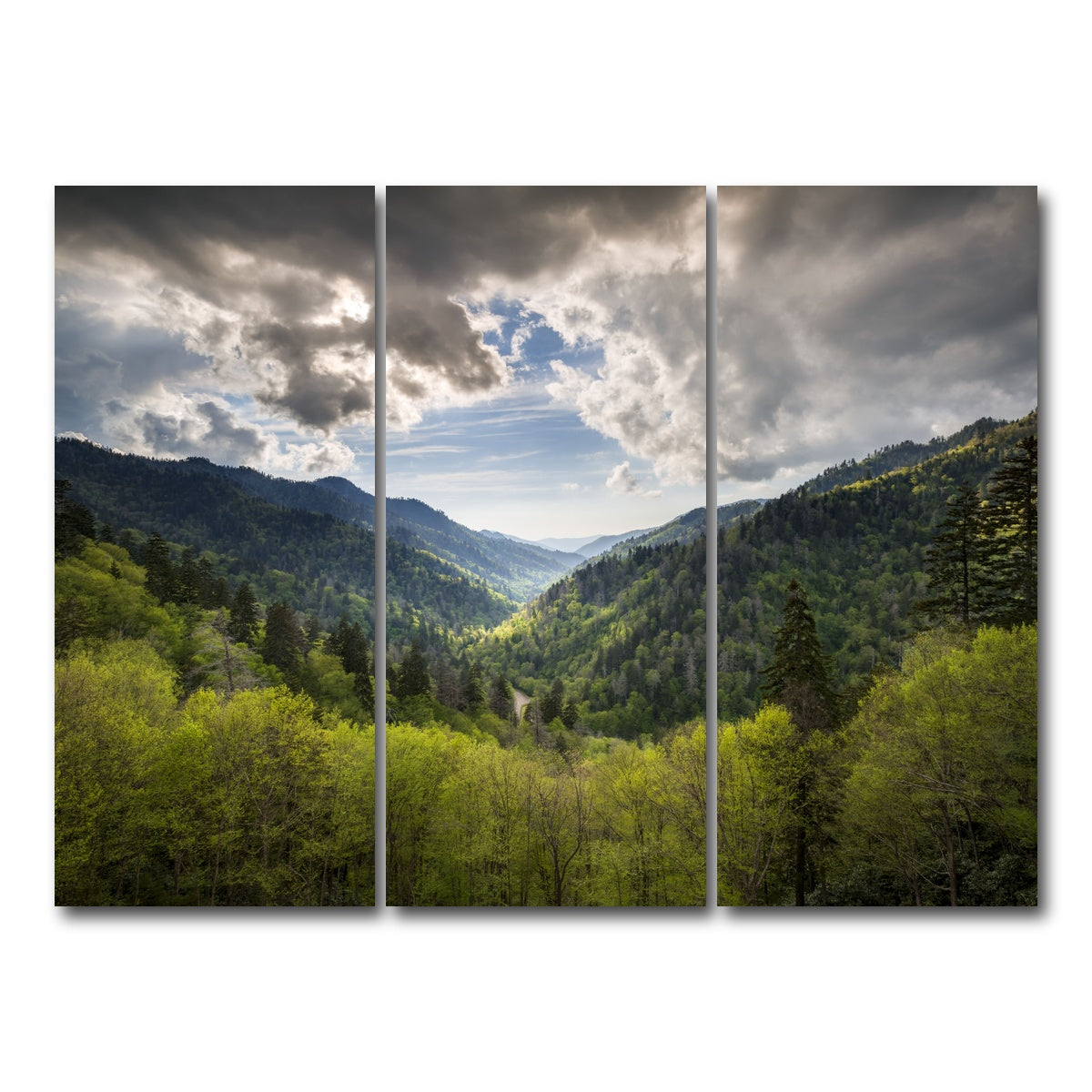 AUTO-MOCKUP WHITE | Great Smoky Mountains National Park | 3 Piece | Gallery Wrap Canvas | group=8x18
